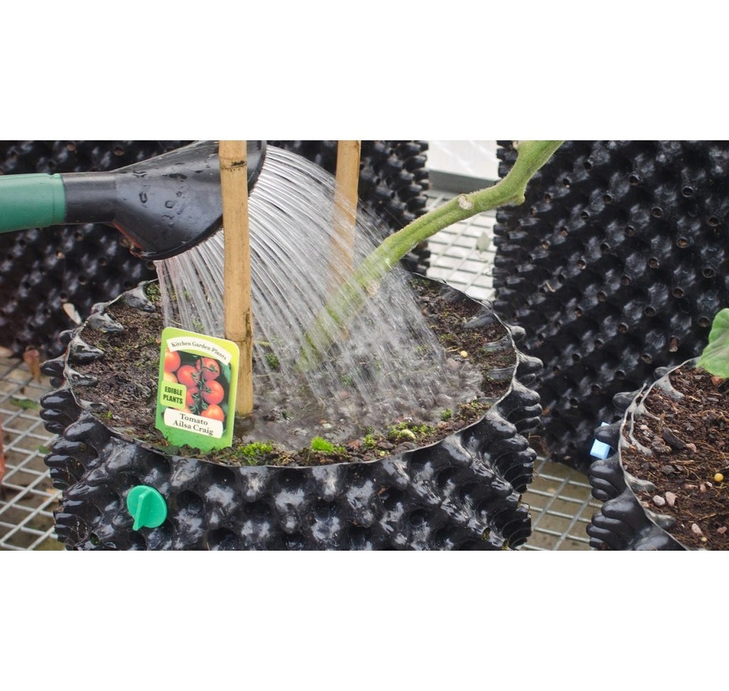 Round pot 1L Hydro kit