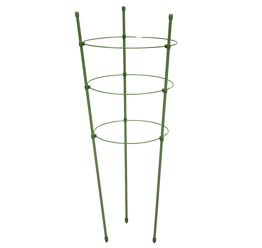 Plant ring supporter 60cm